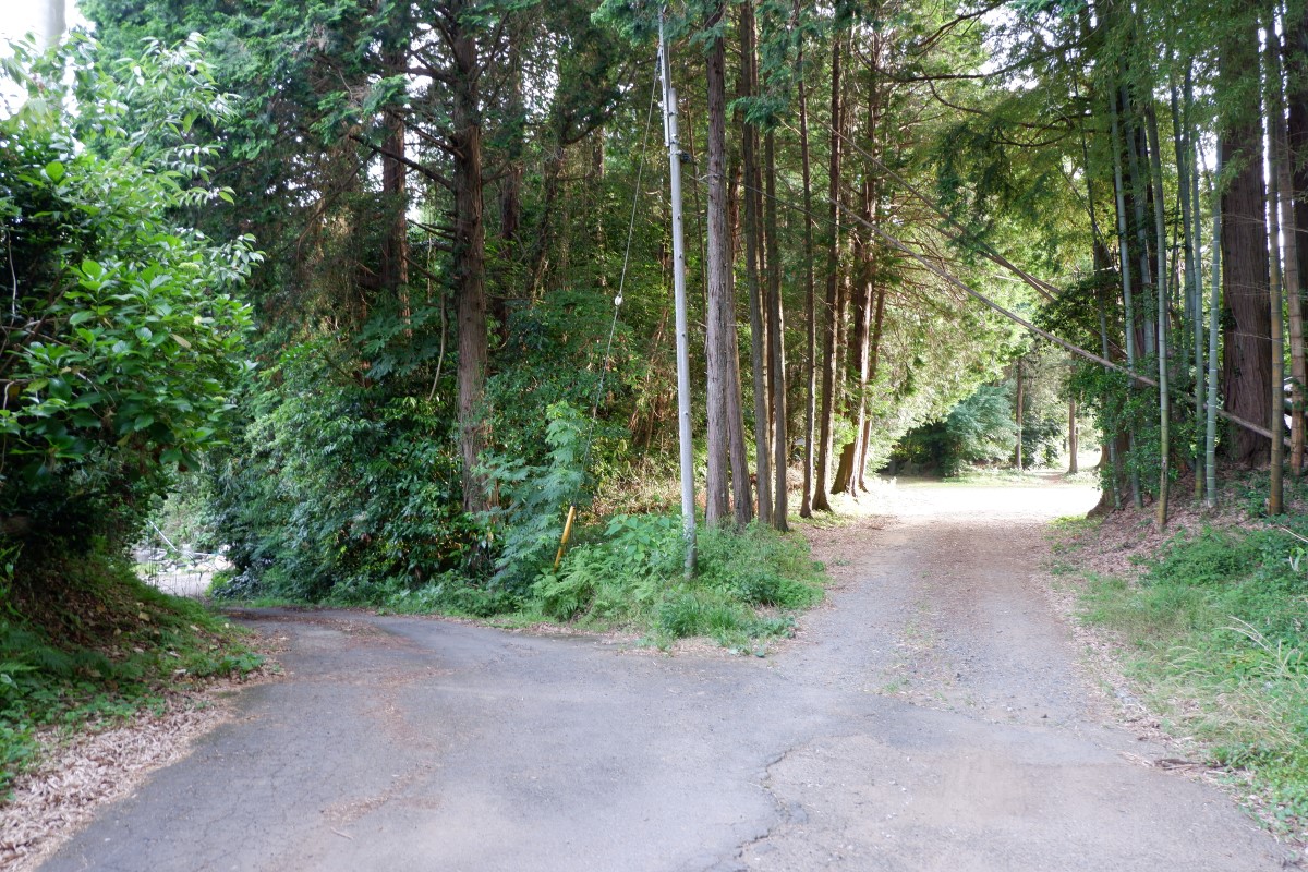 f:id:YumiAIKAWA:20210612103142j:plain