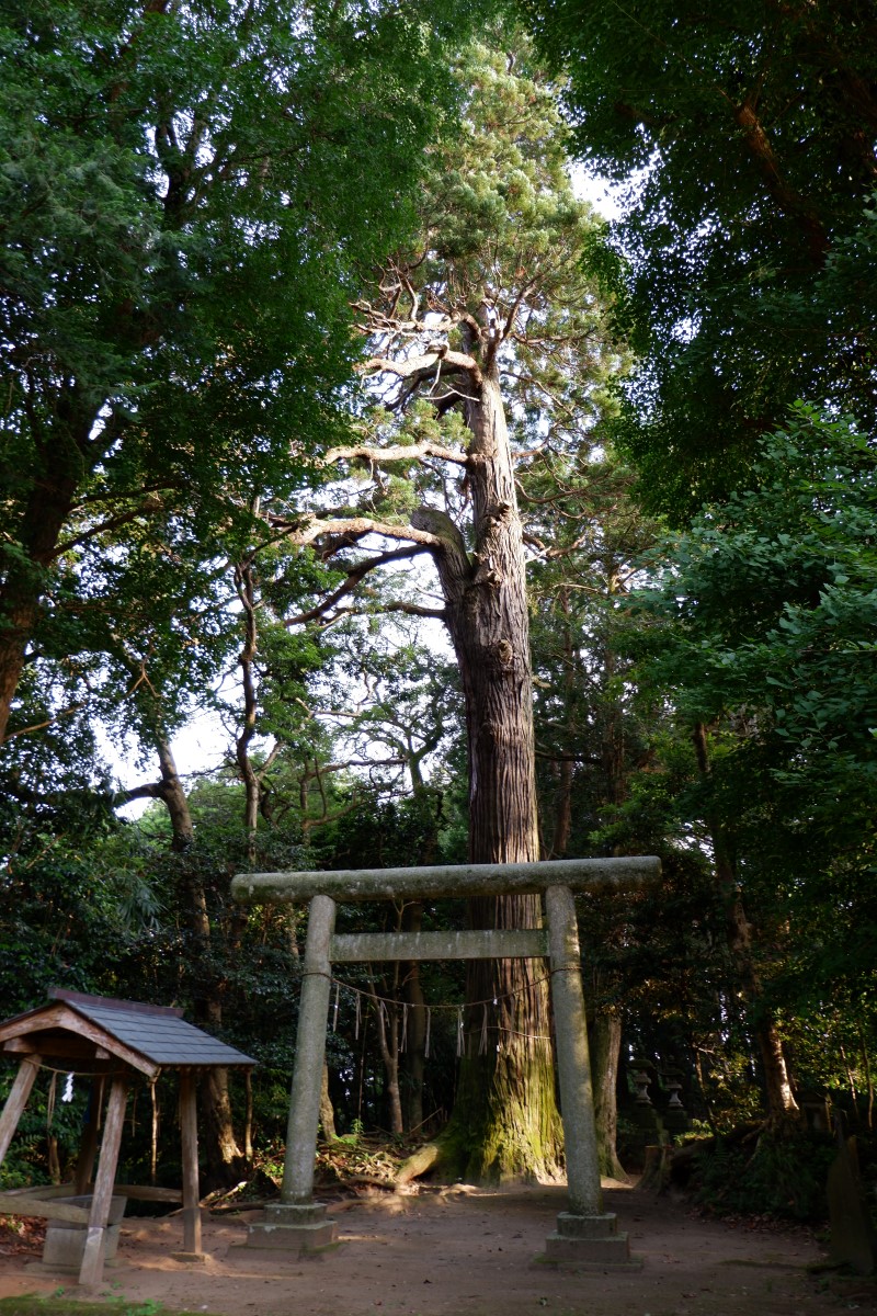 f:id:YumiAIKAWA:20210612104320j:plain