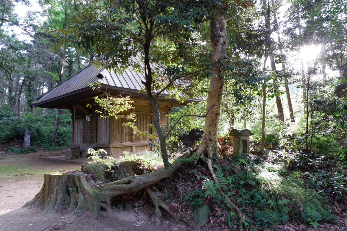 f:id:YumiAIKAWA:20210612125638j:plain