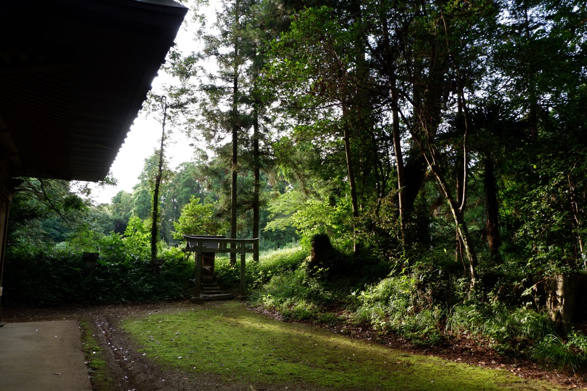 f:id:YumiAIKAWA:20210612130251j:plain