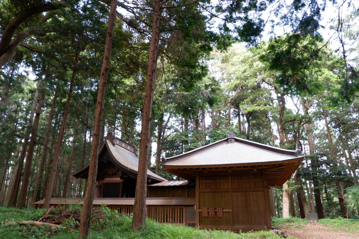 f:id:YumiAIKAWA:20210612140611j:plain