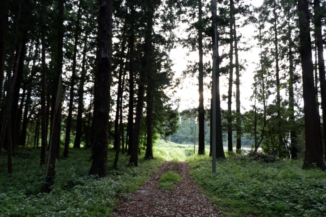 f:id:YumiAIKAWA:20210612151205j:plain