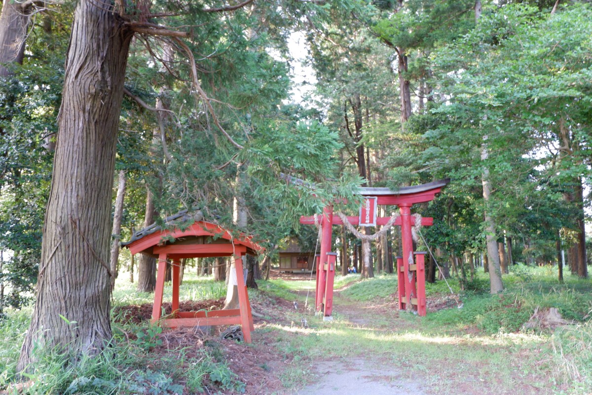 f:id:YumiAIKAWA:20210616063442j:plain