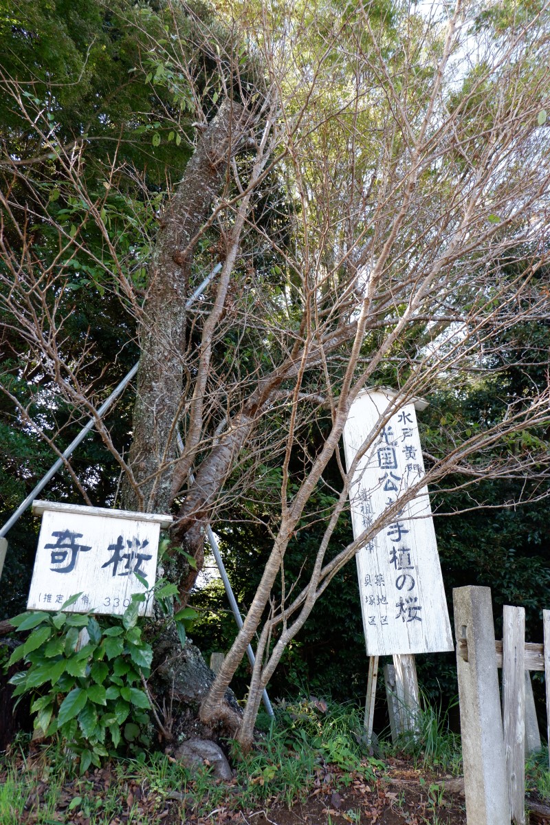 f:id:YumiAIKAWA:20211029081805j:plain