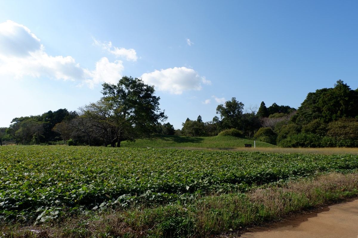 f:id:YumiAIKAWA:20211029103655j:plain