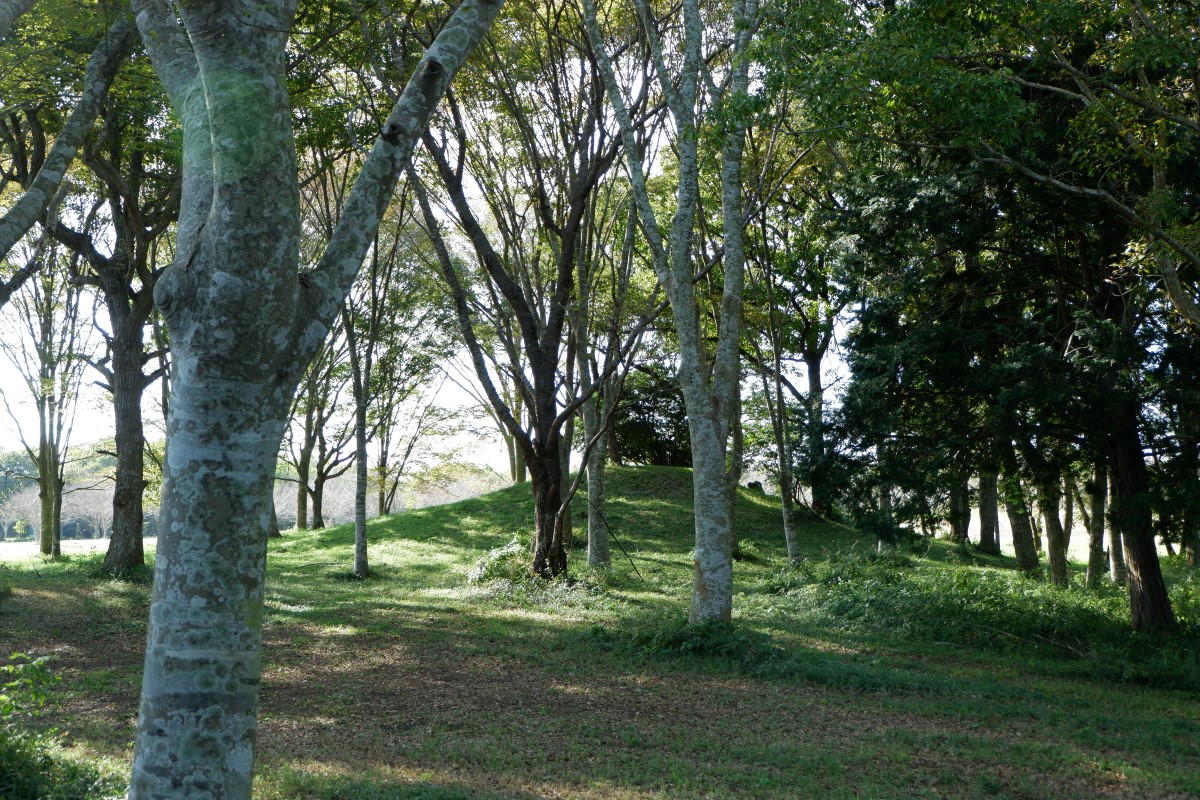 f:id:YumiAIKAWA:20211029110310j:plain