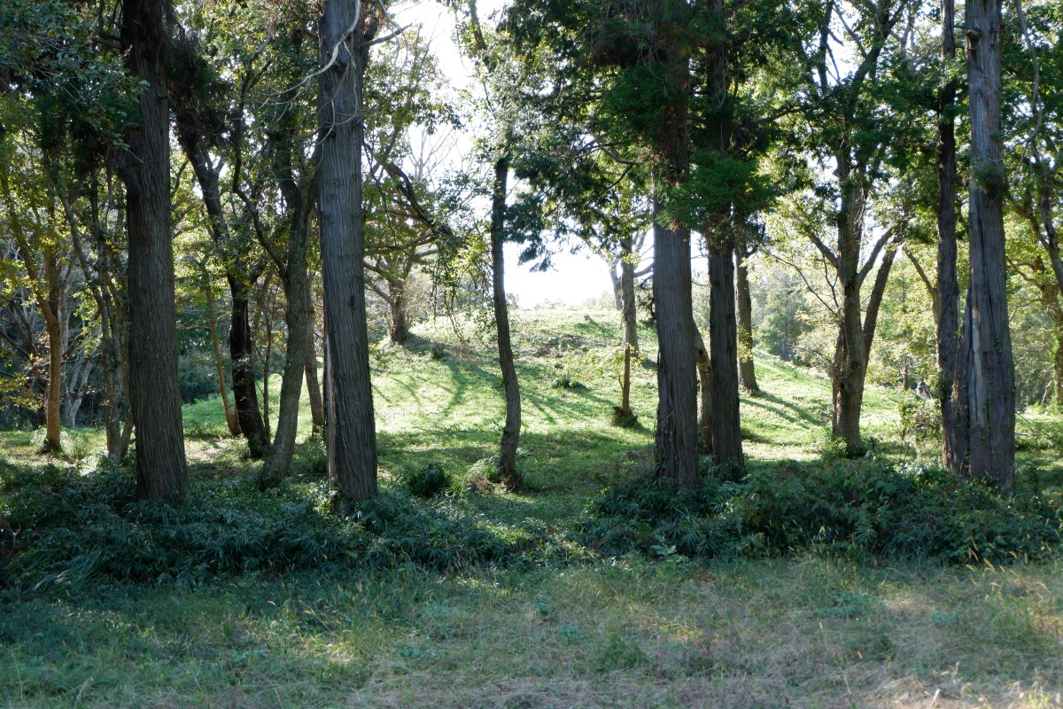 f:id:YumiAIKAWA:20211029114501j:plain