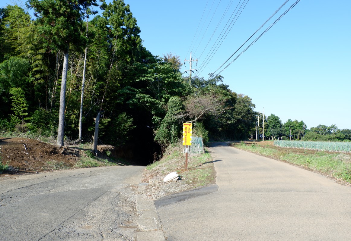 f:id:YumiAIKAWA:20211029122157j:plain