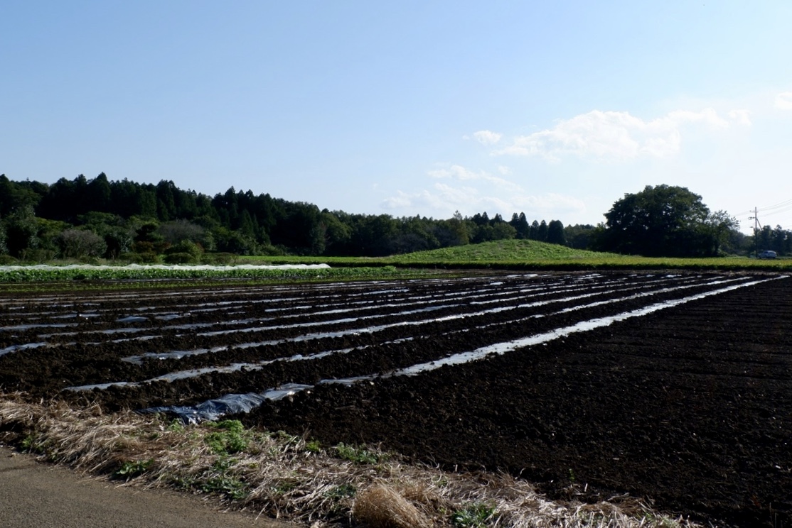 f:id:YumiAIKAWA:20211029175848j:plain