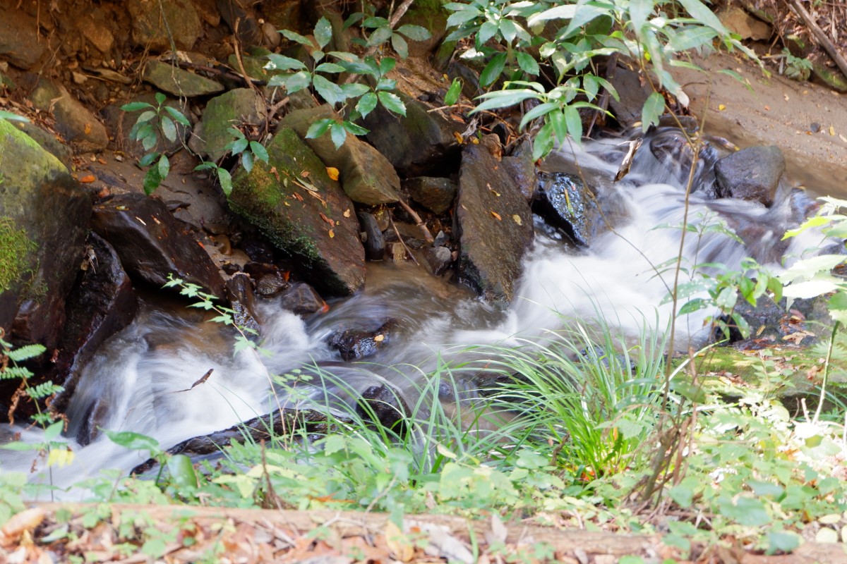 f:id:YumiAIKAWA:20211112113546j:plain