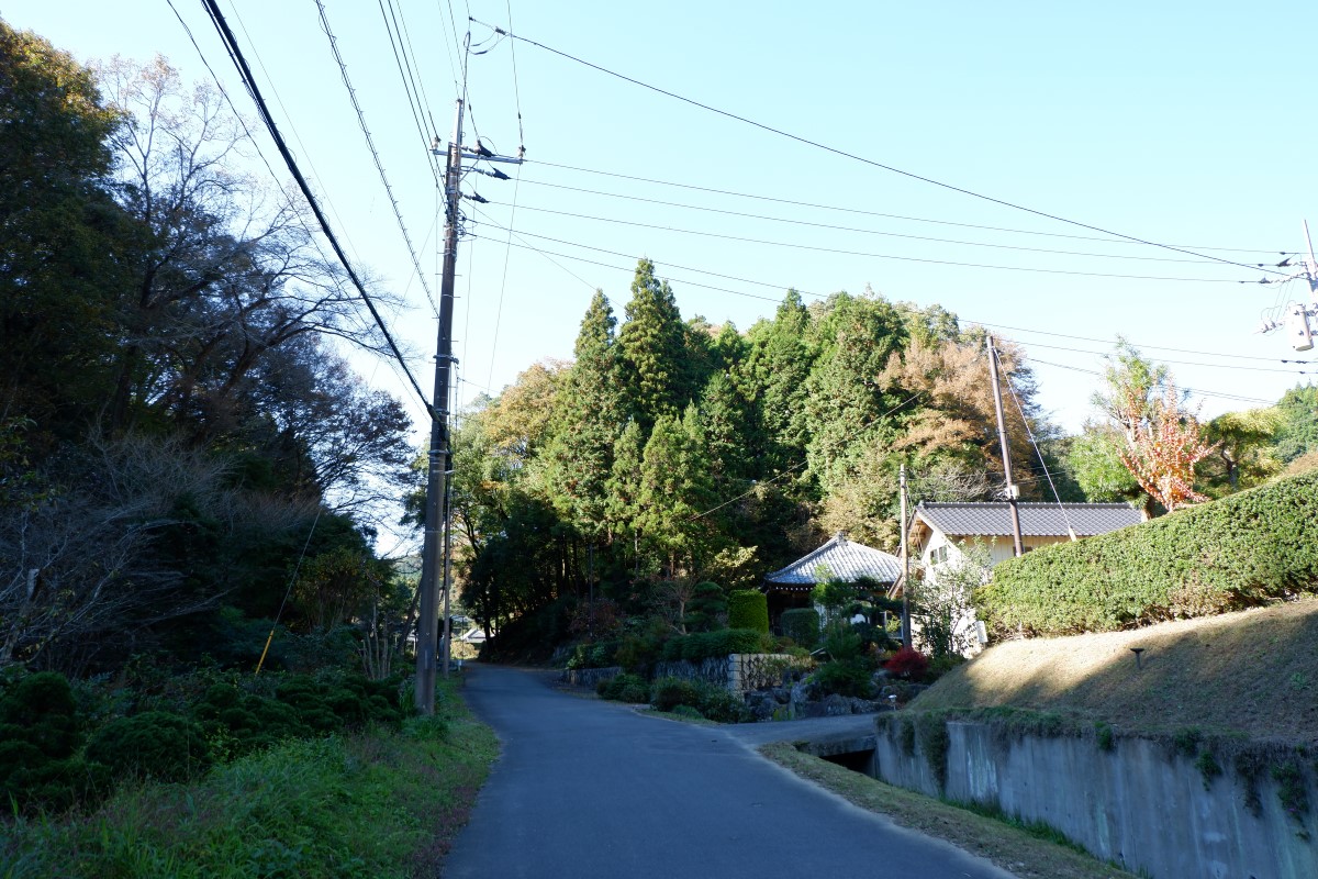 f:id:YumiAIKAWA:20211112114608j:plain