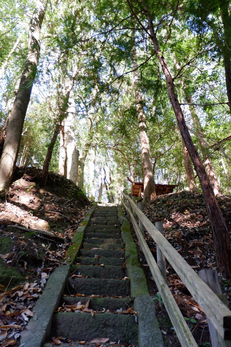 f:id:YumiAIKAWA:20211112114900j:plain