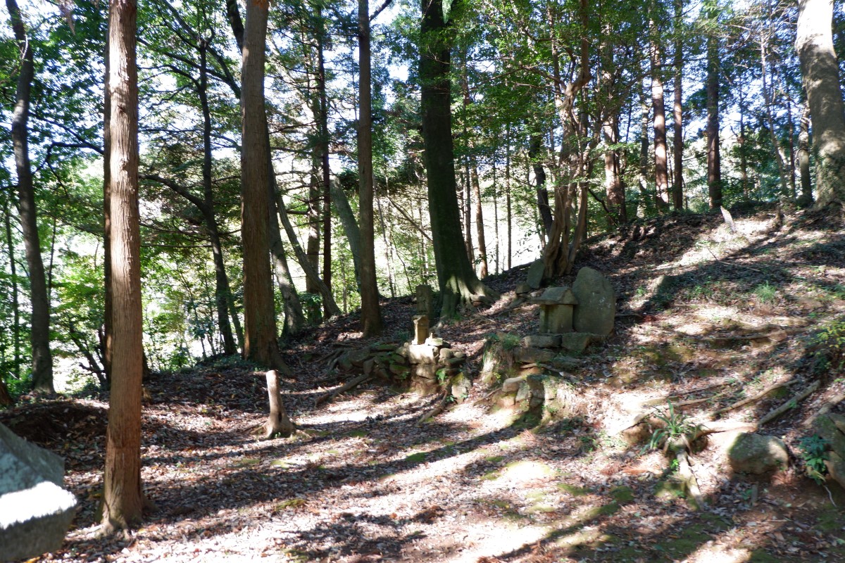 f:id:YumiAIKAWA:20211112122113j:plain