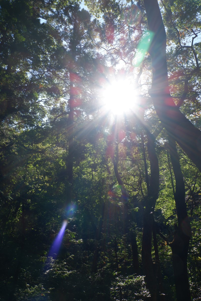 f:id:YumiAIKAWA:20211112125630j:plain