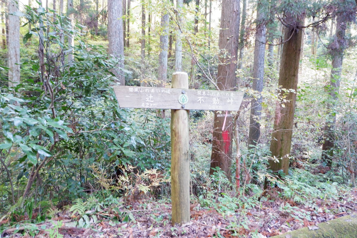 f:id:YumiAIKAWA:20211112134100j:plain