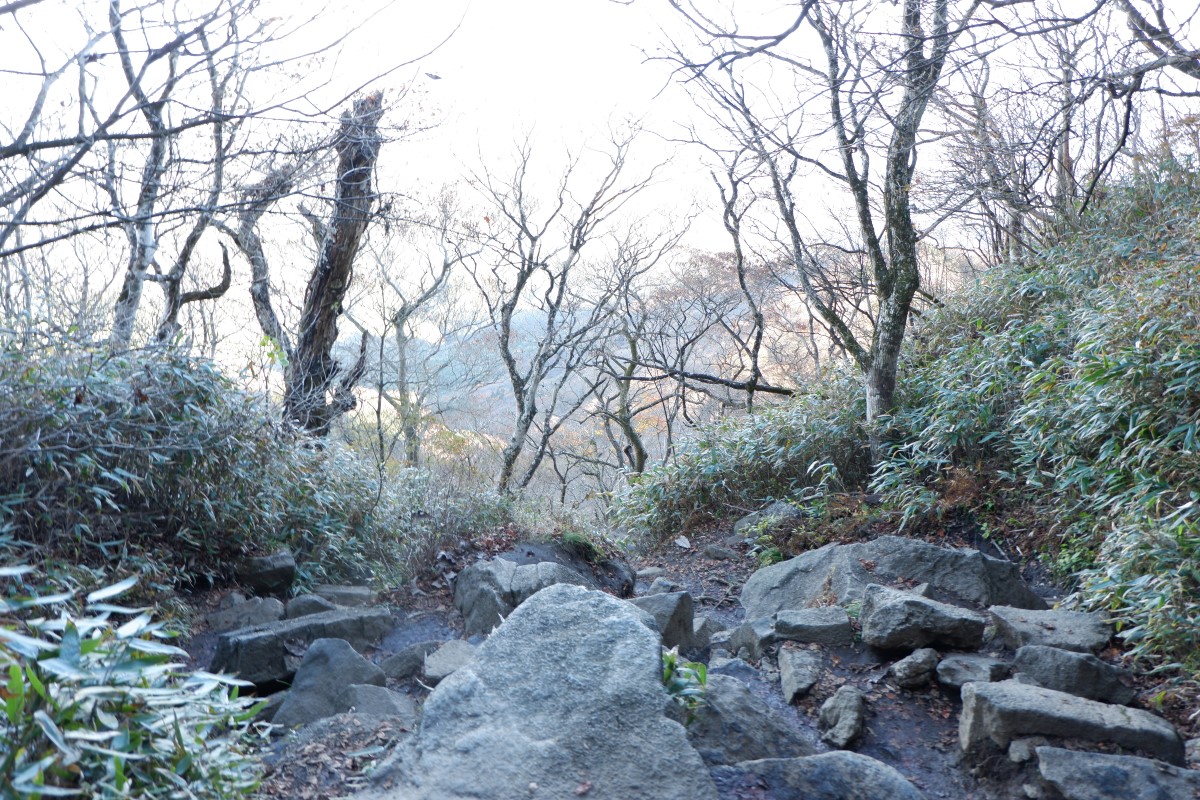 f:id:YumiAIKAWA:20211112144728j:plain