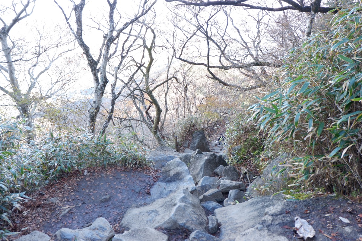 f:id:YumiAIKAWA:20211112144956j:plain