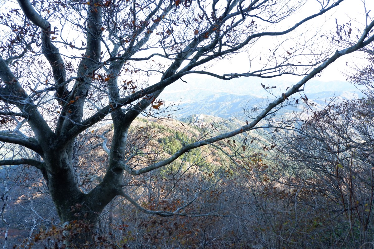 f:id:YumiAIKAWA:20211112145300j:plain