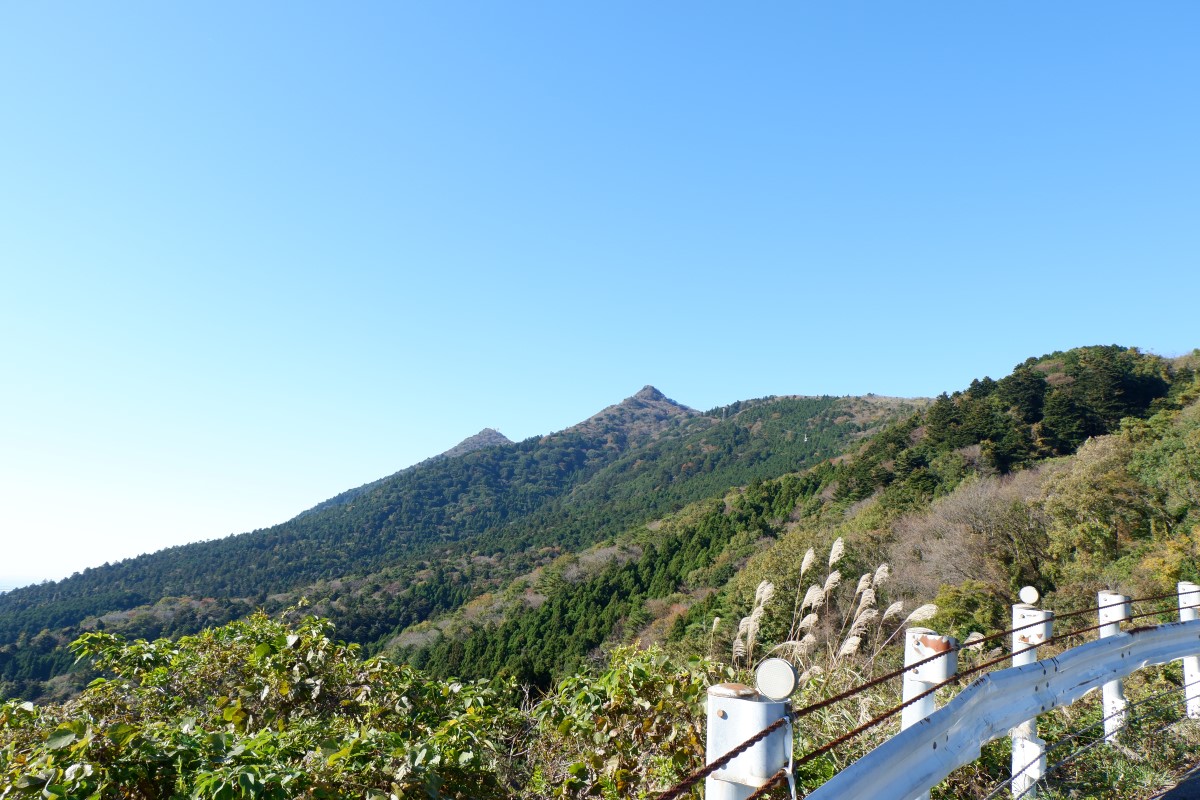 f:id:YumiAIKAWA:20211112222747j:plain