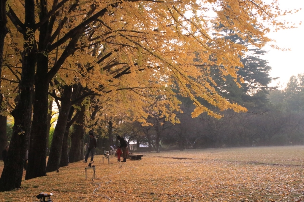 f:id:Yumiinc:20181022145011j:plain f:id:Yumiinc:20181022145011j:plain