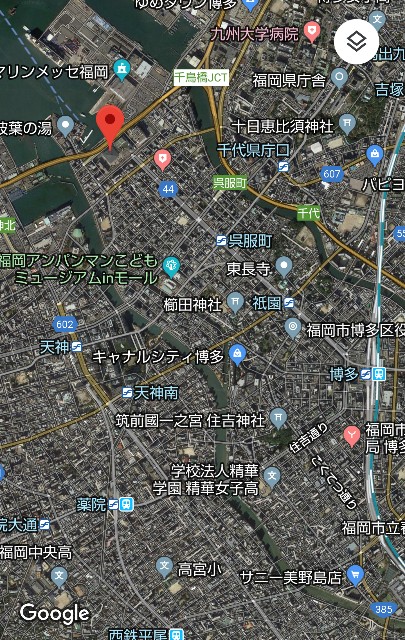 f:id:Yuri-gorimusou:20190219034534j:image