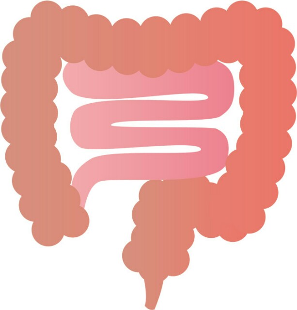 f:id:Yurikago:20181005092038j:image f:id:Yurikago:20181005092038j:image