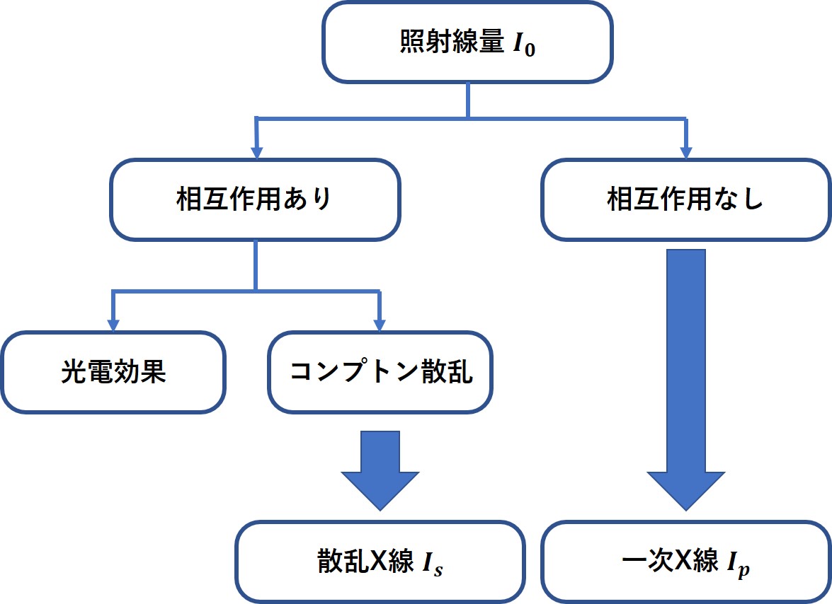 国試の難問？③（第71回診療放射線技師国家試験午前93） - ゆるゆる独学