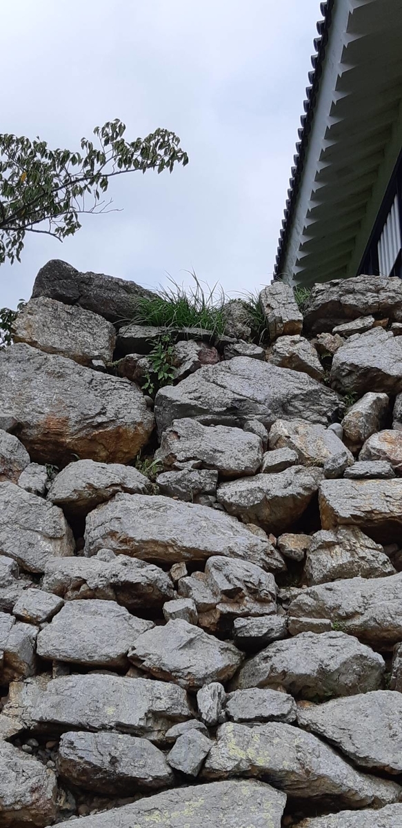 f:id:Yurururu:20190923104252j:plain f:id:Yurururu:20190923104252j:plain