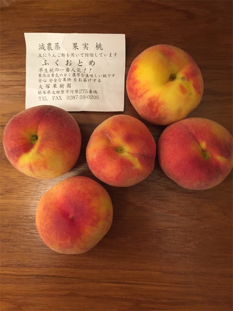 f:id:YusukeShinkai:20180620162202j:image f:id:YusukeShinkai:20180620162202j:image