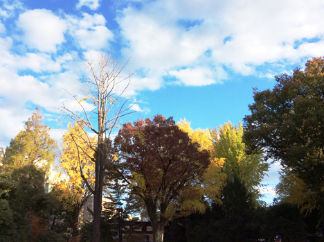 f:id:Yutaka_TAWARA:20210923110037j:plain