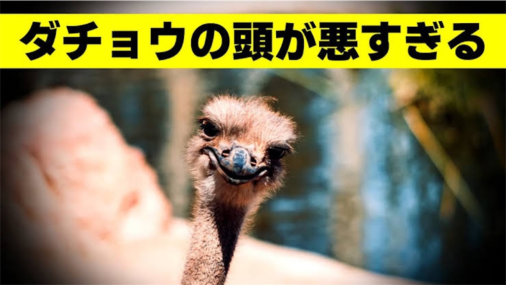 f:id:Yuto19981131:20230523215414j:image f:id:Yuto19981131:20230523215414j:image