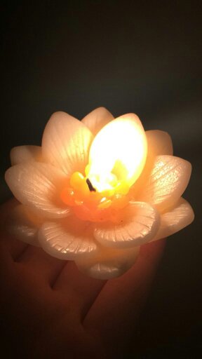 f:id:YuuPimm:20191118000116j:plain f:id:YuuPimm:20191118000116j:plain