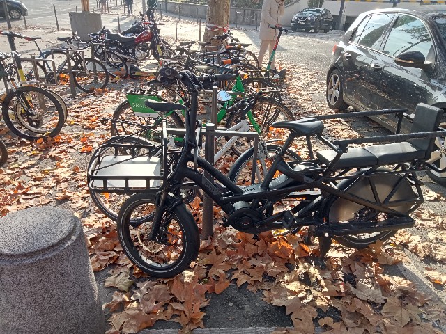 f:id:YuzuMitsuko:20230516191518j:image