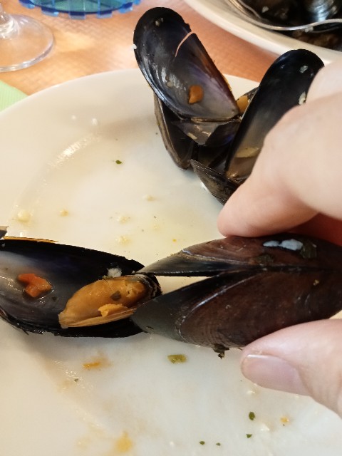 f:id:YuzuMitsuko:20230817195626j:image f:id:YuzuMitsuko:20230817195626j:image