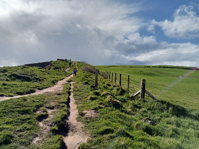 f:id:YuzuMitsuko:20240823025441j:image