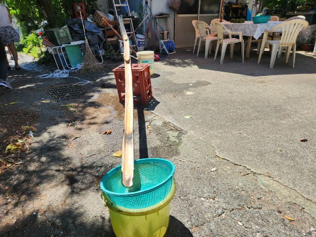 f:id:YuzuMitsuko:20250809172611j:image