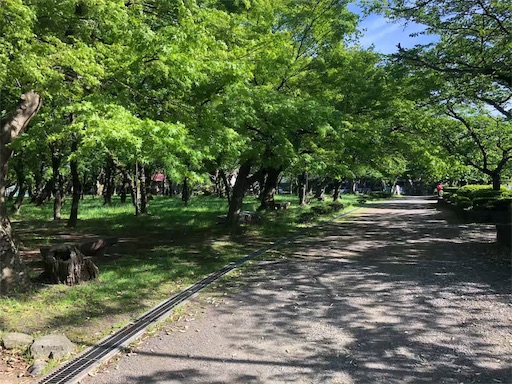 f:id:Yyy95:20190502174035j:image f:id:Yyy95:20190502174035j:image