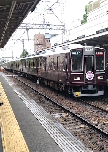 f:id:Yyy95:20190722150013j:image f:id:Yyy95:20190722150013j:image