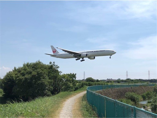 f:id:Yyy95:20190811200836j:image f:id:Yyy95:20190811200836j:image
