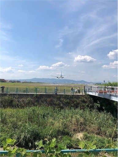 f:id:Yyy95:20190811200914j:image f:id:Yyy95:20190811200914j:image