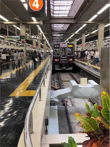 f:id:Yyy95:20190811200938j:image f:id:Yyy95:20190811200938j:image
