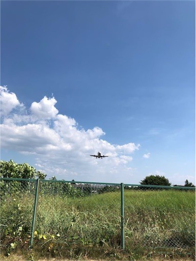 f:id:Yyy95:20190811200944j:image f:id:Yyy95:20190811200944j:image