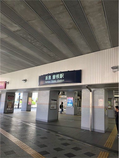 f:id:Yyy95:20190811200959j:image f:id:Yyy95:20190811200959j:image