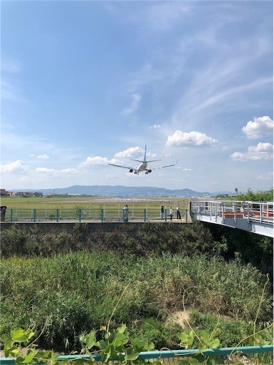 f:id:Yyy95:20190811201011j:image f:id:Yyy95:20190811201011j:image