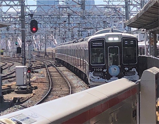 f:id:Yyy95:20190811201235j:image f:id:Yyy95:20190811201235j:image
