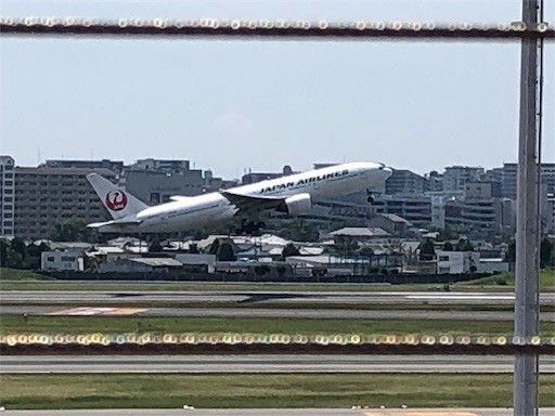 f:id:Yyy95:20190811204714j:image f:id:Yyy95:20190811204714j:image