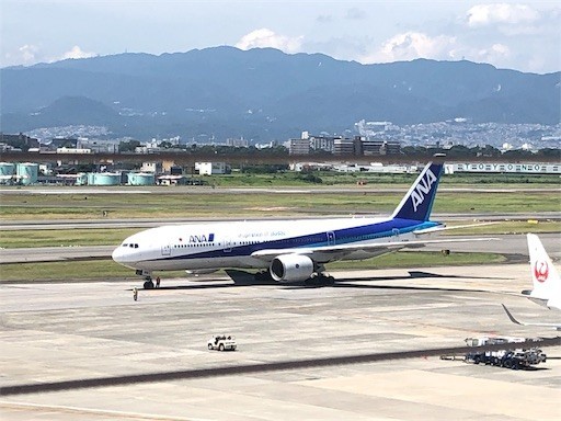 f:id:Yyy95:20190811204718j:image f:id:Yyy95:20190811204718j:image