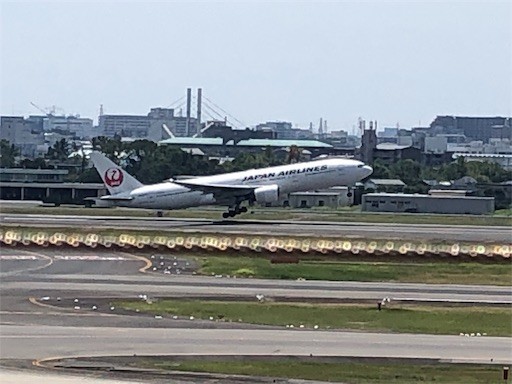 f:id:Yyy95:20190811204822j:image f:id:Yyy95:20190811204822j:image