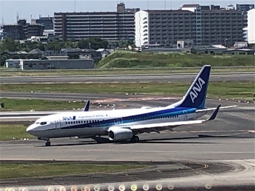 f:id:Yyy95:20190811204825j:image f:id:Yyy95:20190811204825j:image