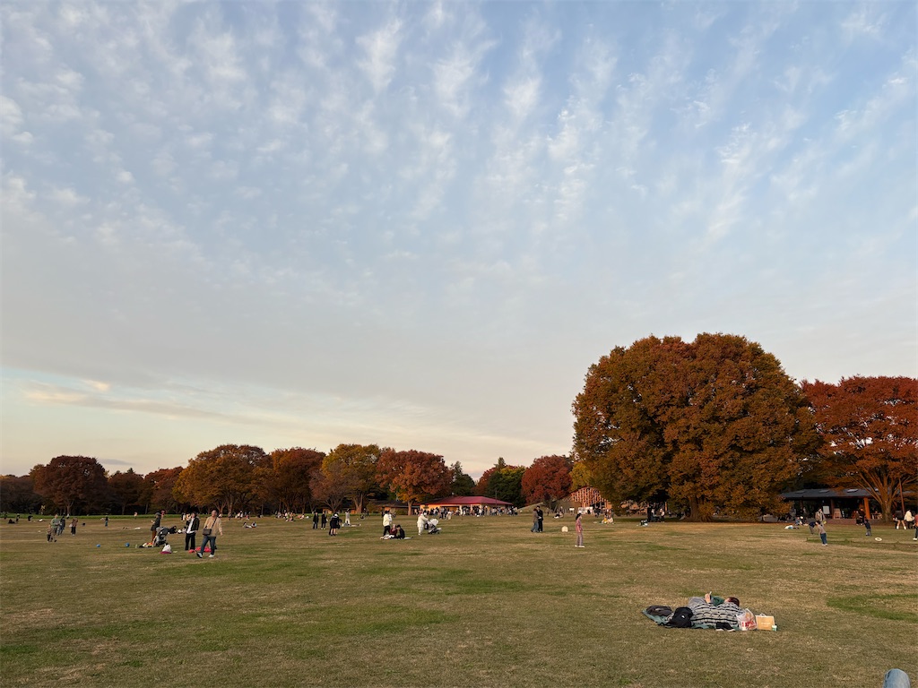 f:id:Yzumi92:20251125113305j:image f:id:Yzumi92:20251125113305j:image